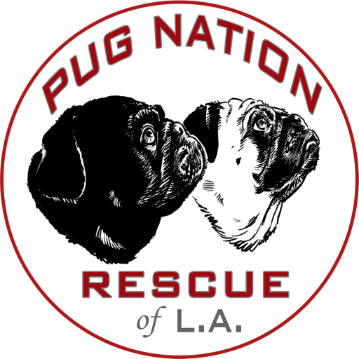Pug Nation