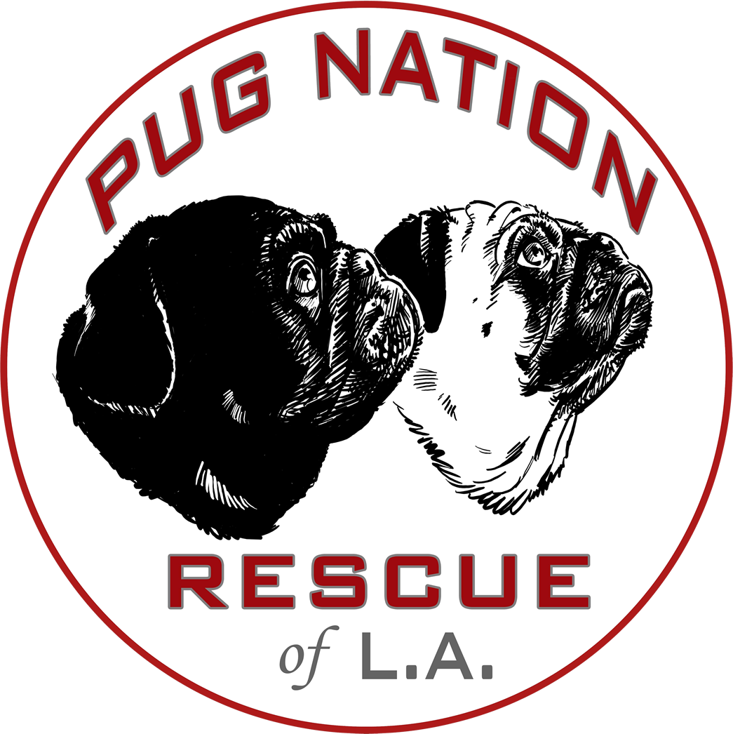 Pug Nation Rescue Reusable Tote