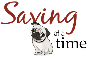pug rehoming